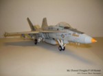 F-18 Hornet (11).JPG

58,42 KB 
1024 x 768 
09.05.2011
